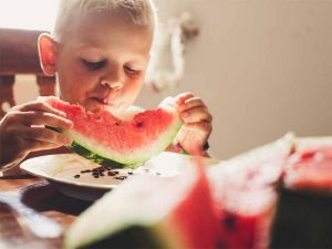 comer se alimentar e nutrir